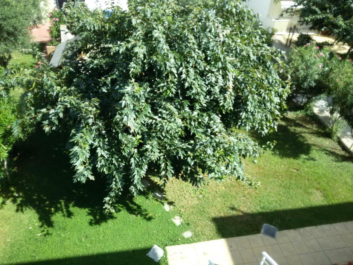 Dimar1 Seaside Apartment Paralia Dionysiou Luaran gambar